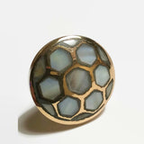 Golden Brass Cabinet Knobs Pulls Shell Accents 1.40 Inch-Dwyer Home Collection
